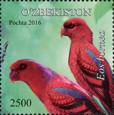 Red Lory (Eos bornea)