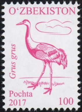 Common Crane (Grus grus)