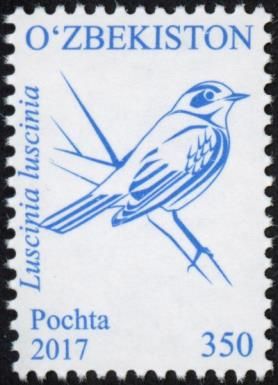 Thrush Nightingale (Luscinia luscinia)