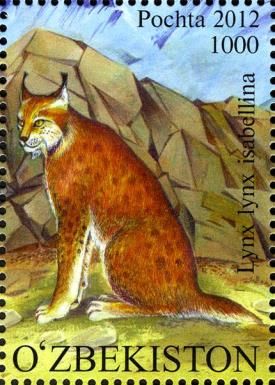 Turkestan Lynx (Lynx lynx isabellina)