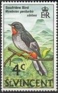 Soufrière Bird (Myadestes genibarbis sibilans)