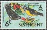 Bananaquit (Coereba flaveola)
