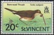 Bare-eyed Thrush (Turdus nudigenis)