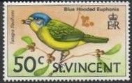 Blue-hooded Euphonia (Tangara flavifrons)