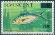Yellowfin tuna (Tunnus albacares)