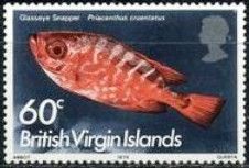 Glasseye Snapper (Priacanthus cruentatus)