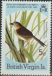 Seaside Sparrow (Ammospiza maritima)