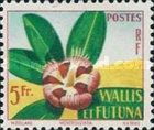 Montrouziera