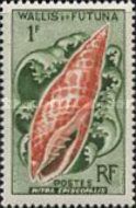 Episcopal Miter (Mitra episcopalis)
