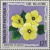 Hibiscus tiliaceus