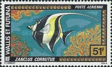 Moorish Idol (Zanclus cornutus)