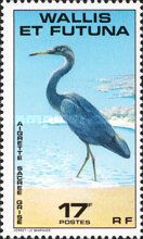 Pacific Reef Heron (Egretta sacra)
