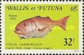 Deepwater Red Snapper (Etelis carbunculus)
