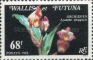 Acanthe phippium