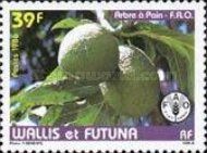 Breadfruit (Artocarpus altilis)