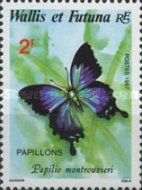 Montrouzier's Ulysses (Papilio montrouzieri)