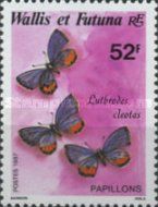 Butterfly (Lutbrodes cleotas)