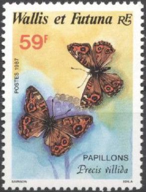 Meadow Argus (Precis villida)