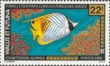Threadfin Butterflyfish (Chaetodon auriga)