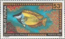 Foxface (Siganus vulpinus)