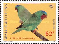 Blue-crowned Lorikeet (Vini australis) 