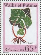 Kava
