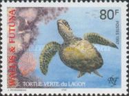 Green Sea Turtle (Chelonia mydas)