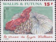 Coral from the Lagoon of Wallis