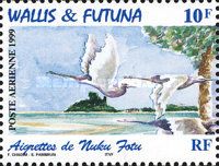 Pacific Reef-Heron (Egretta sacra)