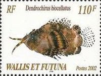 Twospot Turkeyfish (Dendrochirus biocellatus)