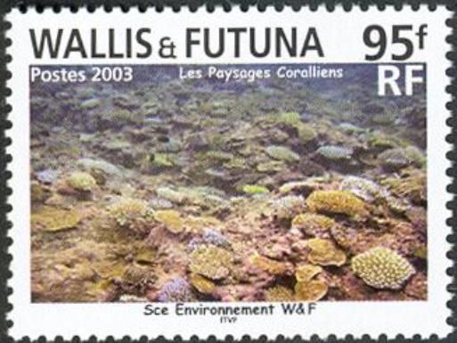 Seabed Environment