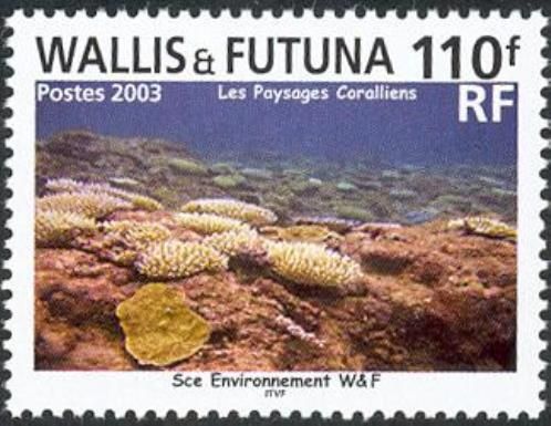 Seabed Environment