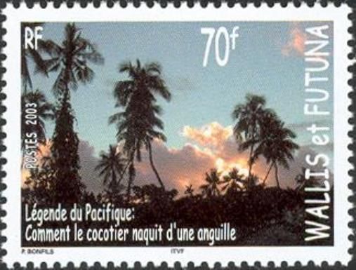 Coconut and Clouds