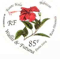 Hibiscus rosa-sinensis