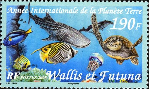 International Year of Planet Earth