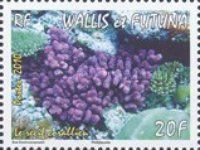 Seabed with coral