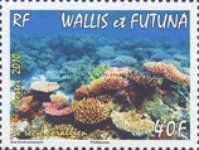 Seabed with coral