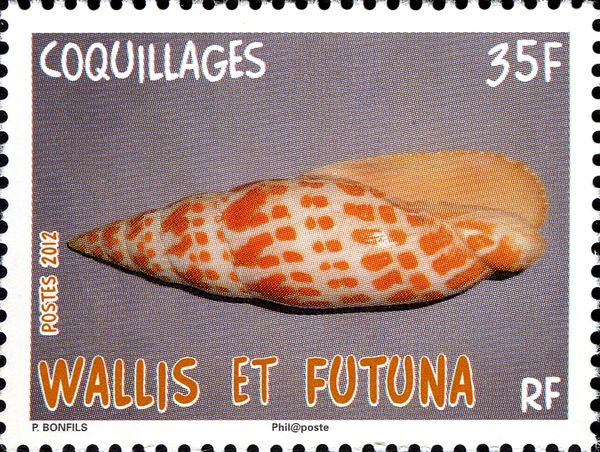 Sea Snail