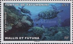 Sea turtles at Fatumanini