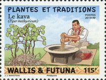 Kava and Drink Preparation