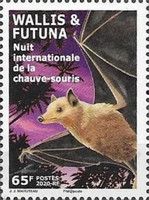International Night of the Bat