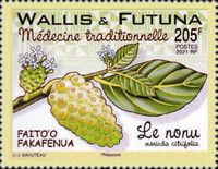 Nonu (Morinda citrifolia)
