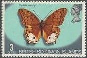 Cruiser Butterfly (Vindula sapor)