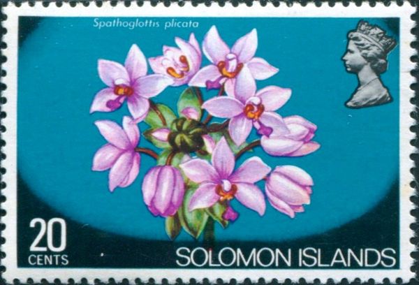 Spathoglottis plicata - overprinted