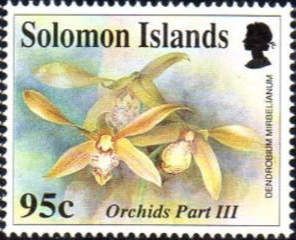 Dendrobium mirbelianum