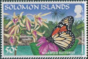 Milkweed Butterfly (Danaus plexippus), Dendrobium rennellii