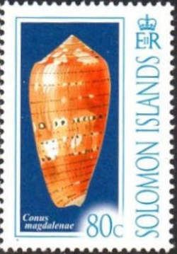 Conus magdalenae