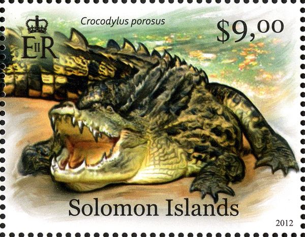 Saltwater Crocodile (Crocodylus porosus)