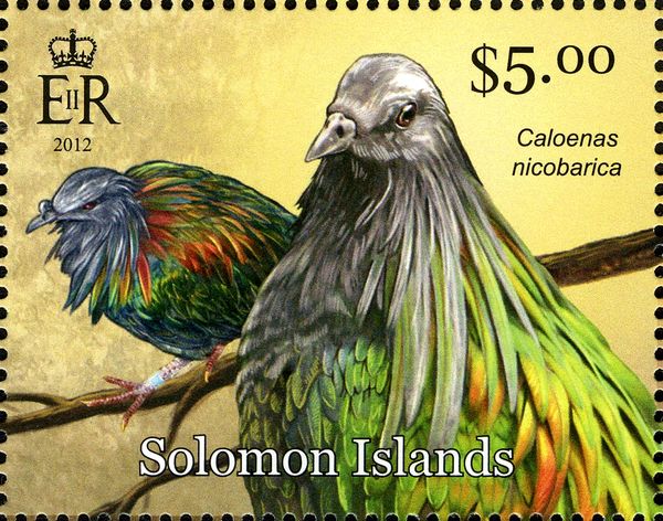 Nicobar Pigeon (Caloenas nicobarica)