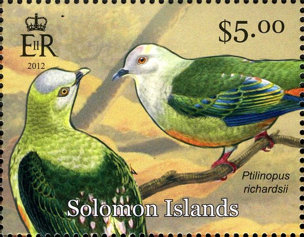 Silver-capped Fruit-dove (Ptilinopus richardsii)